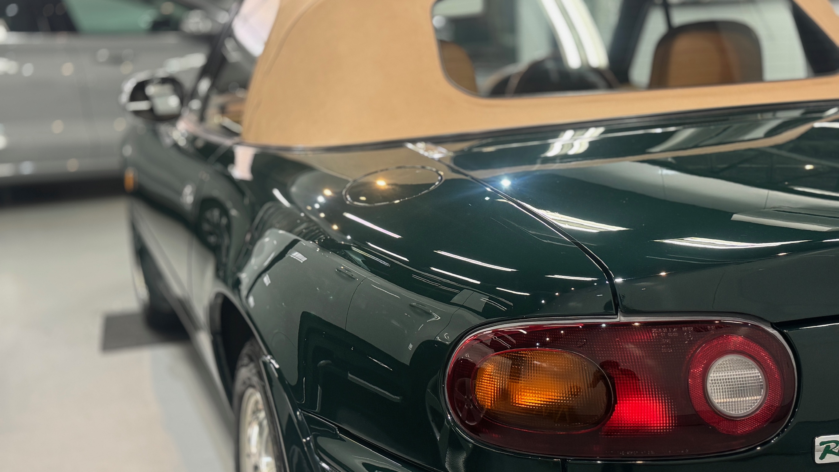 緑色の車におすすめのコーティングとお手入れ方法