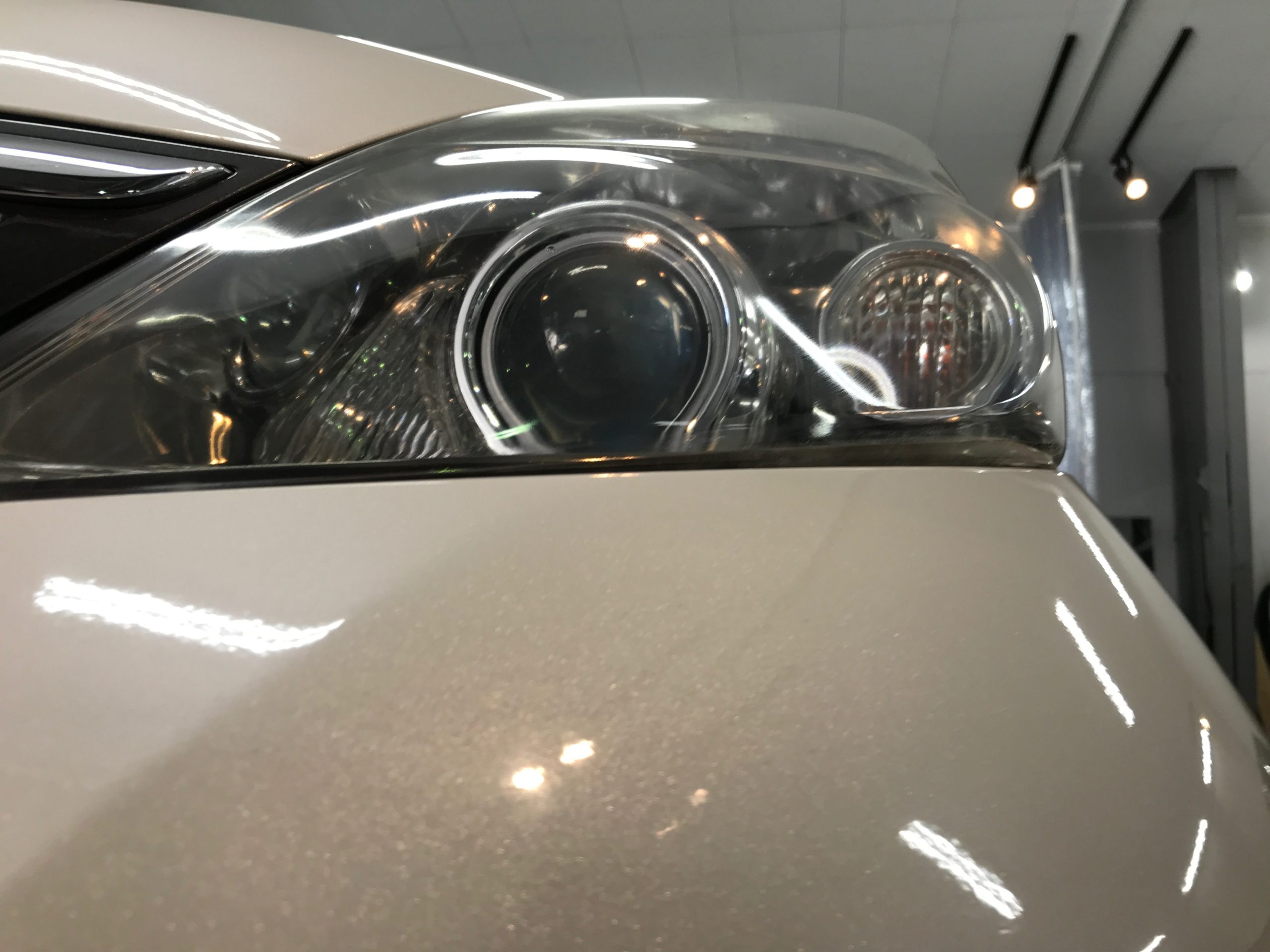 トヨタ・アイシス：ヘッドライトリファイン施工後写真３