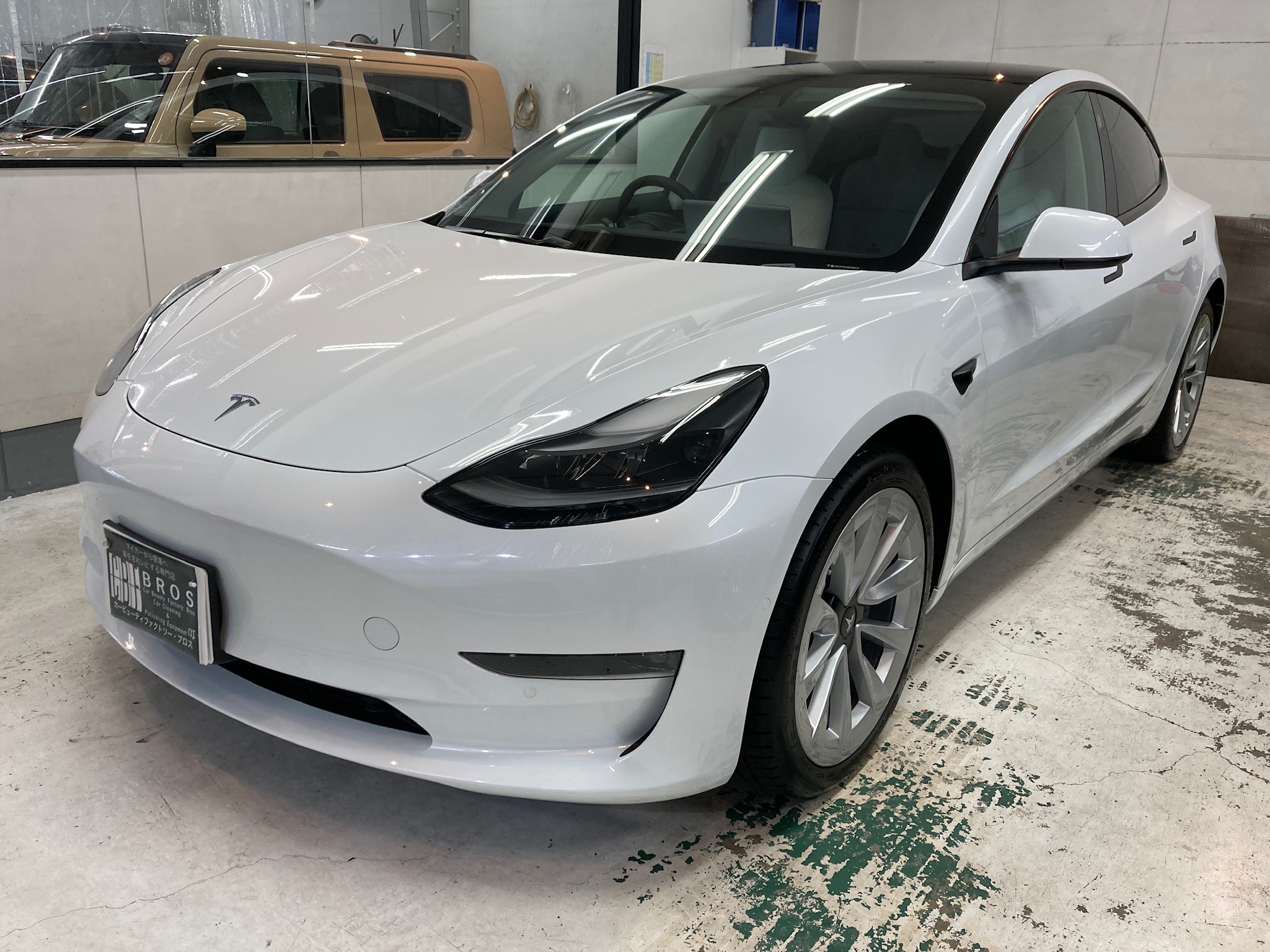 テスラ・モデル３：カーコーティングMiYUKi施工完成写真：左フロントフェンダー