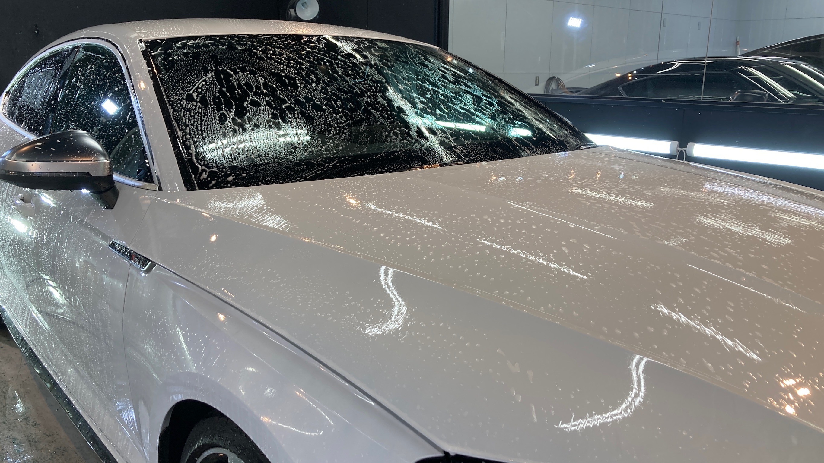 アウディ・RS5：クラスM施工：下地処理工程：洗車している様子