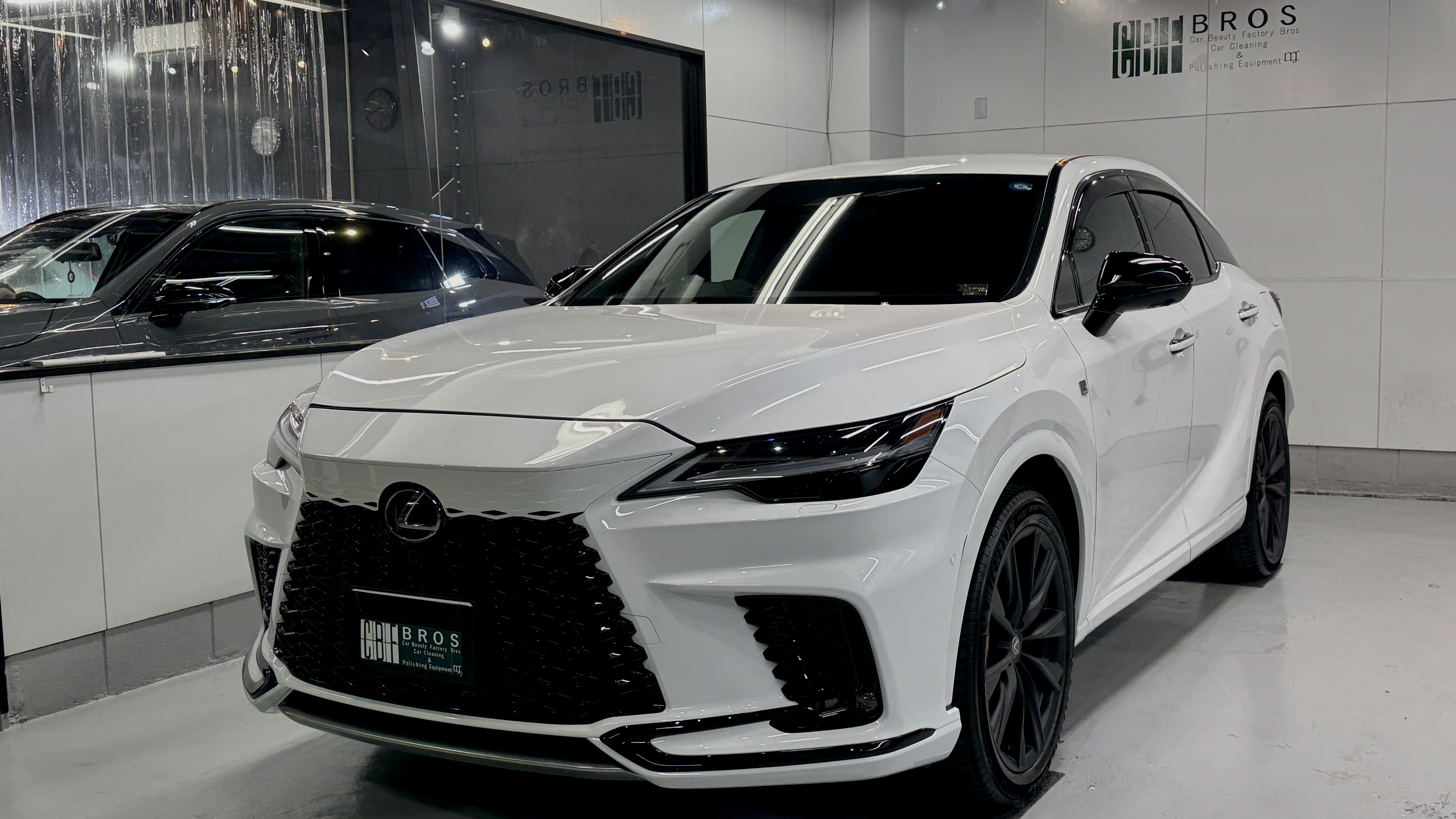 FORCE 25 ceramic coating